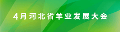 ӱW
